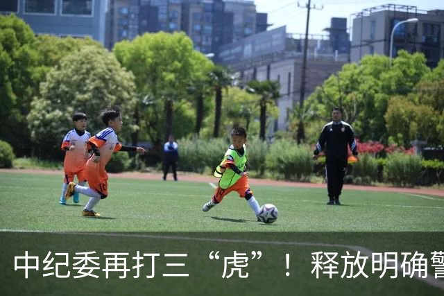 中纪委再打三“虎”！释放明确警示信号，藏的再深照样被揪出来！