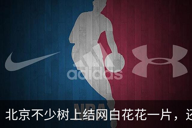 北京不少树上结网白花花一片，还往下掉！今年它的“存在感”怎么这么强？