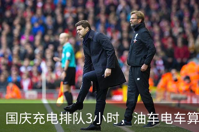 国庆充电排队3小时，油车电车算完账我沉默了