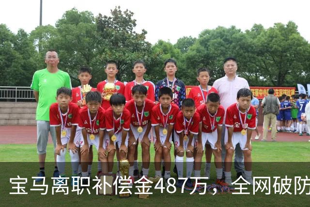 宝马离职补偿金487万，全网破防了！