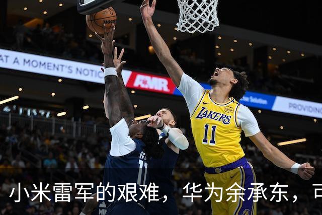 小米雷军的艰难，华为余承东，可能终于体会到了