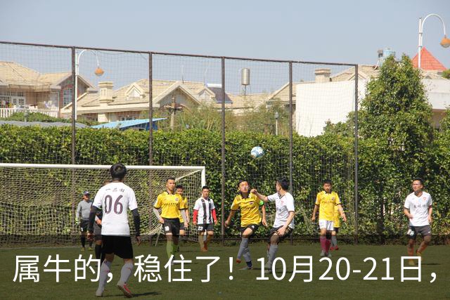 属牛的，稳住了！10月20-21日，有故人千里来敲你的门