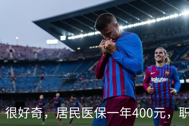 很好奇，居民医保一年400元，职工医保一年4000多，到底差在哪？