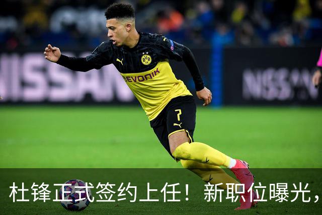 杜锋正式签约上任！新职位曝光，联手铁血教头，薪资报酬大揭秘