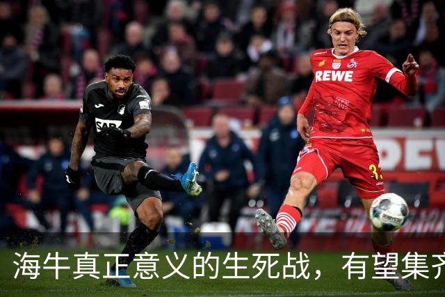 海牛真正意义的生死战，有望集齐5外援，国安亚冠更重要，林良铭找状态