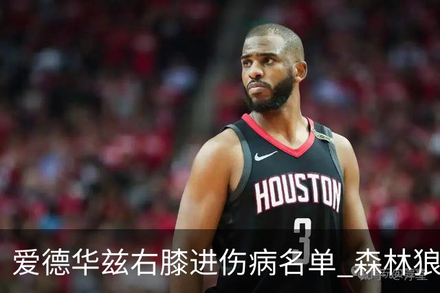 爱德华兹右膝进伤病名单 森林狼战骑士存变数