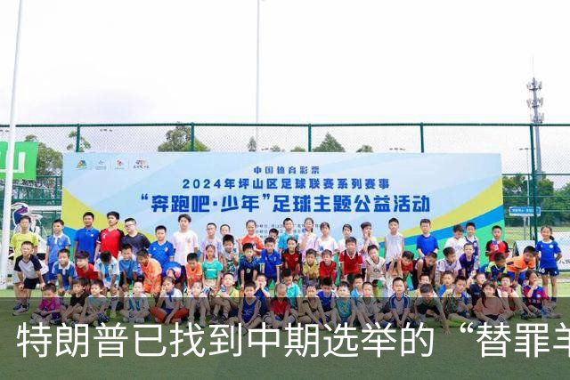 特朗普已找到中期选举的“替罪羊”