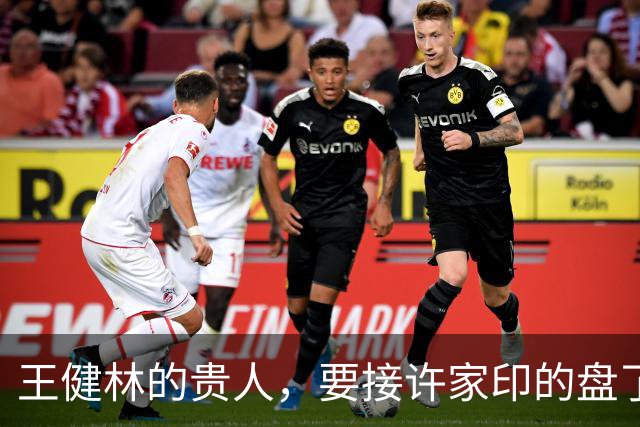 王健林的贵人，要接许家印的盘了？