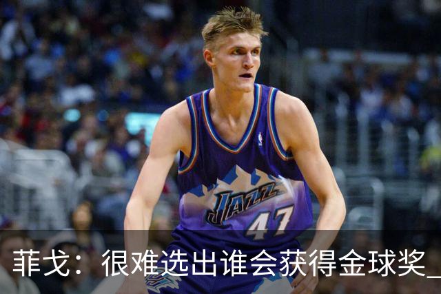 菲戈：很难选出谁会获得金球奖 我一直关注国米，齐沃是我好朋友