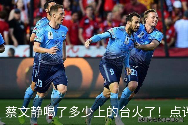 蔡文静喝了多少上的台火了！点评时反复说哥哥们非常帅