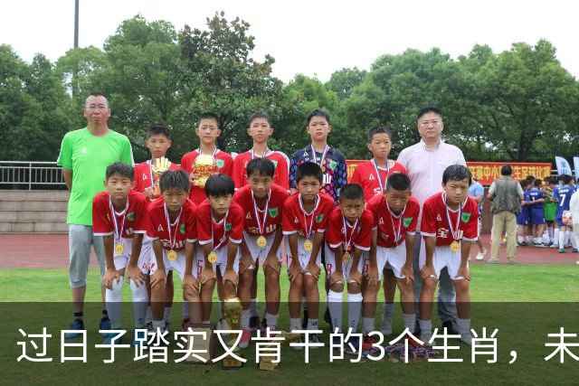 过日子踏实又肯干的3个生肖，未来三年总有好事相伴，赚盆满钵满