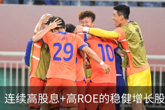 连续高股息+高ROE的稳健增长股，23股上榜，耐心资本长线配置（附名单）
