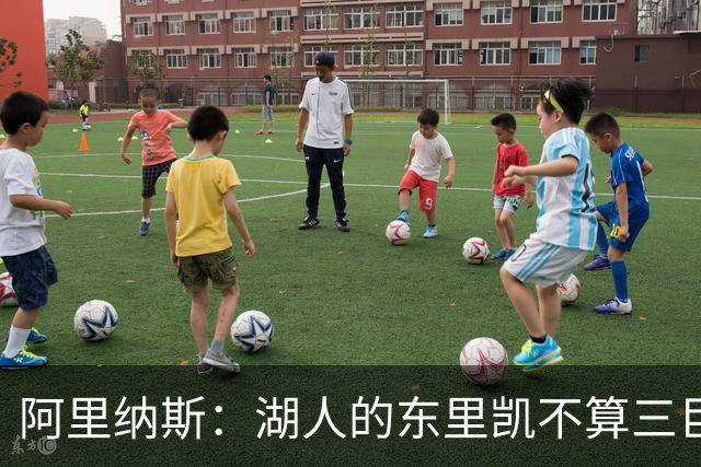 阿里纳斯：湖人的东里凯不算三巨头 三个全明星才叫三巨头