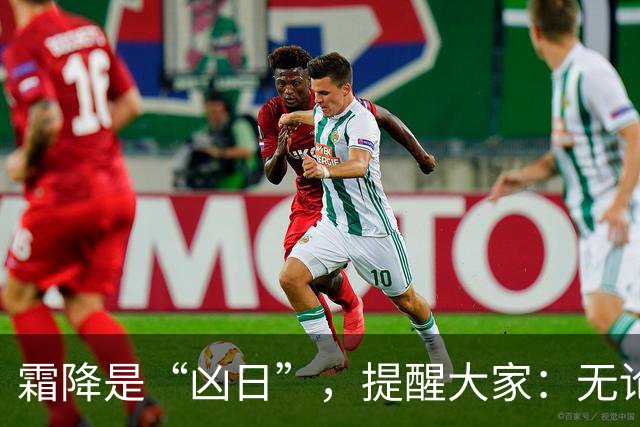 霜降是“凶日”，提醒大家：无论多忙，这4件事别犯了忌讳！