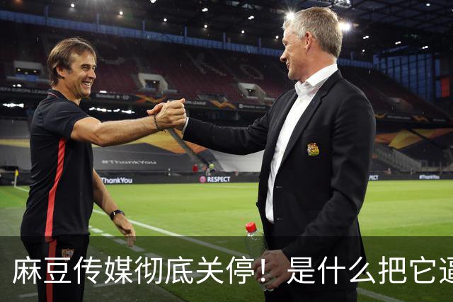 麻豆传媒彻底关停！是什么把它逼上绝路？