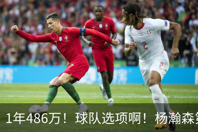 1年486万！球队选项啊！杨瀚森第一个生涯转折点