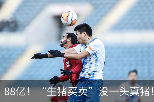 88亿！“生猪买卖”没一头真猪！空手套白狼，国企巨款全被挪走？